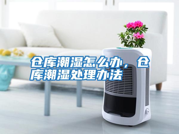 倉(cāng)庫(kù)潮濕怎么辦，倉(cāng)庫(kù)潮濕處理辦法