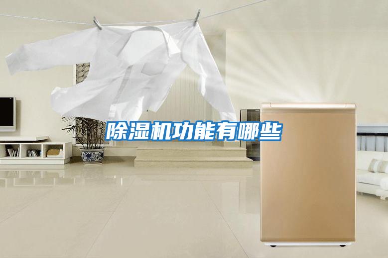 除濕機功能有哪些