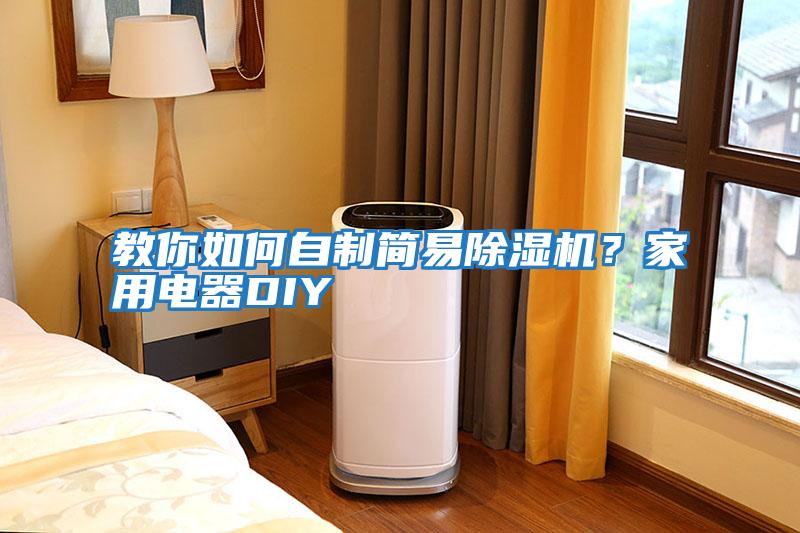 教你如何自制簡易除濕機？家用電器DIY