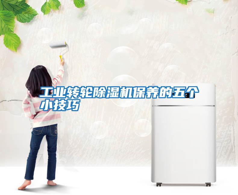 工業轉輪除濕機保養的五個小技巧
