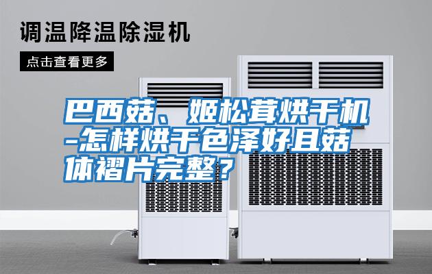 巴西菇、姬松茸烘干機-怎樣烘干色澤好且菇體褶片完整?