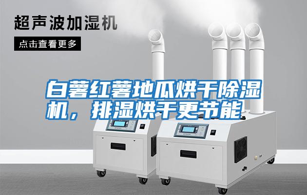 白薯紅薯地瓜烘干除濕機，排濕烘干更節能