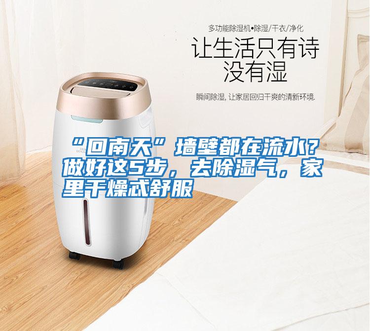 “回南天”墻壁都在流水？做好這5步，去除濕氣，家里干燥忒舒服