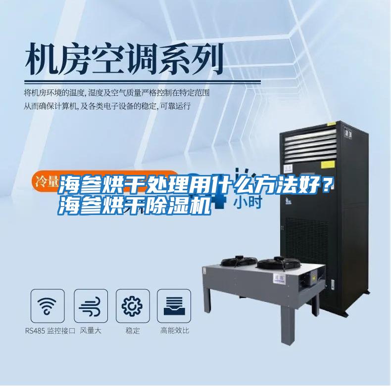 海參烘干處理用什么方法好？海參烘干除濕機(jī)