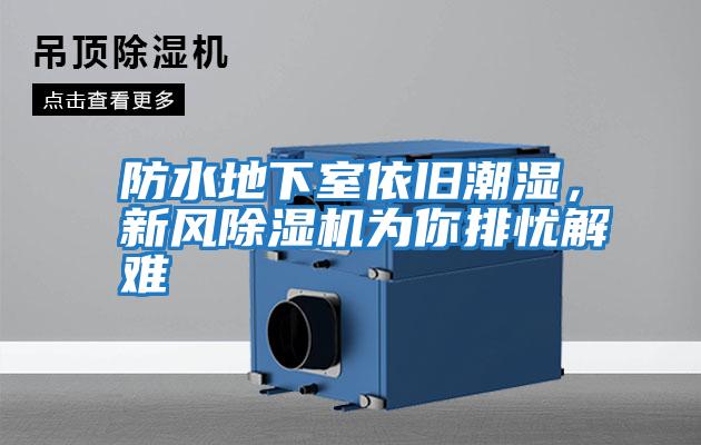 防水地下室依舊潮濕，新風除濕機為你排憂解難