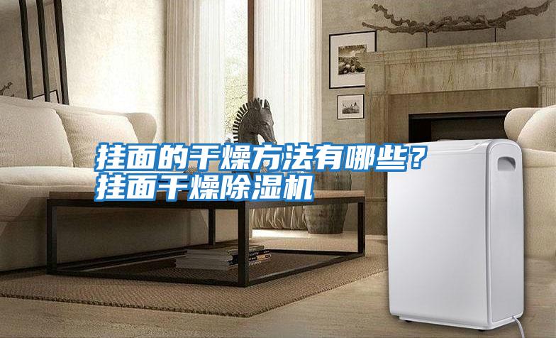 掛面的干燥方法有哪些？ 掛面干燥除濕機(jī)