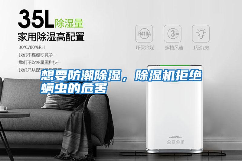 想要防潮除濕，除濕機拒絕螨蟲的危害