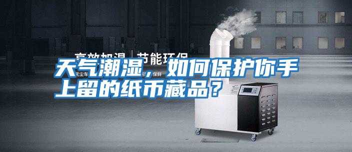 天氣潮濕，如何保護你手上留的紙幣藏品？