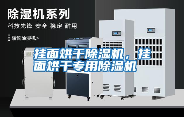掛面烘干除濕機，掛面烘干專用除濕機