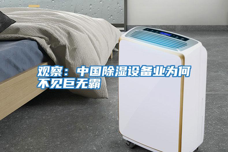 觀察：中國除濕設備業為何不見巨無霸