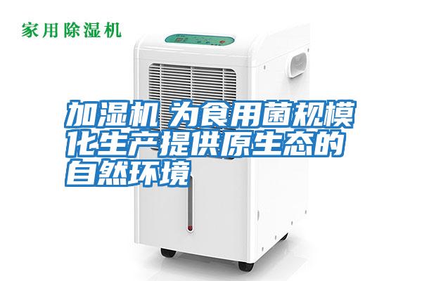 加濕機　為食用菌規(guī)?；a(chǎn)提供原生態(tài)的自然環(huán)境