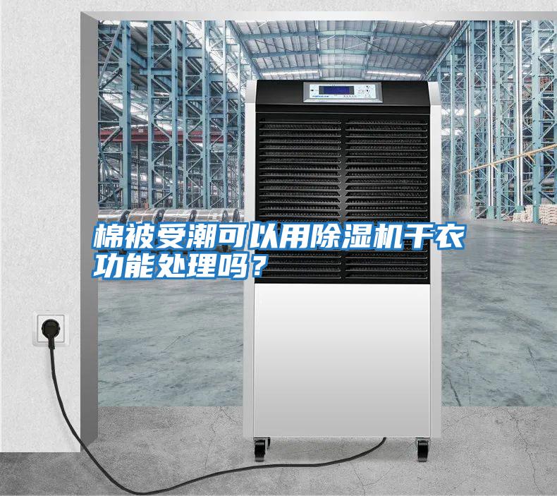 棉被受潮可以用除濕機干衣功能處理嗎？
