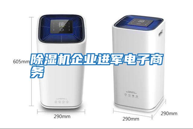 除濕機企業進軍電子商務