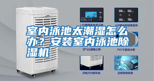 室內泳池太潮濕怎么辦？安裝室內泳池除濕機