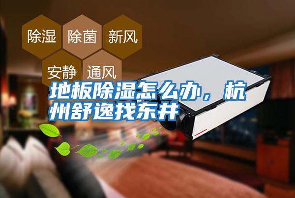 地板除濕怎么辦，杭州舒逸找東井