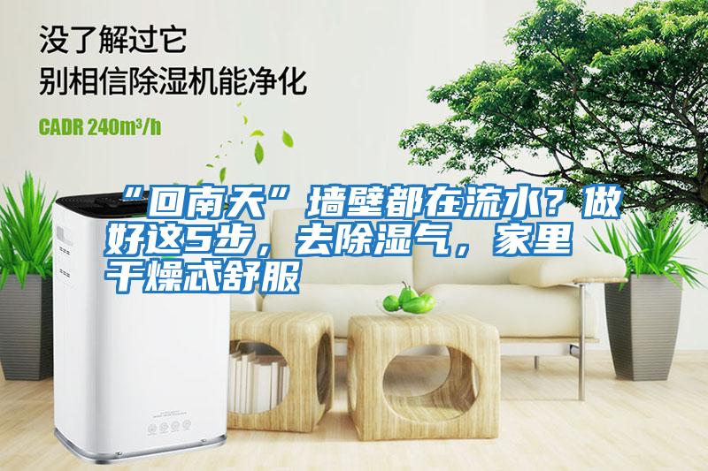 “回南天”墻壁都在流水？做好這5步，去除濕氣，家里干燥忒舒服