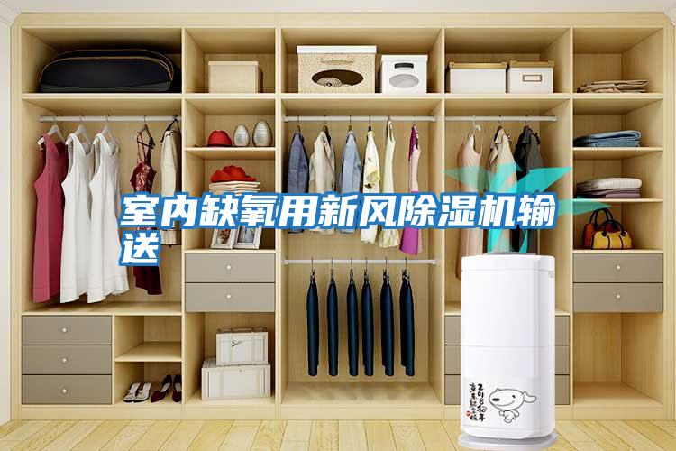 室內缺氧用新風除濕機輸送