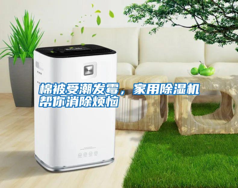 棉被受潮發霉,家用除濕機幫你消除煩惱