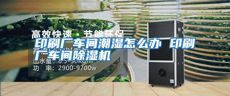 印刷廠車(chē)間潮濕怎么辦 印刷廠車(chē)間除濕機(jī)