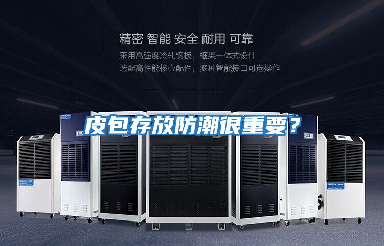 皮包存放防潮很重要？