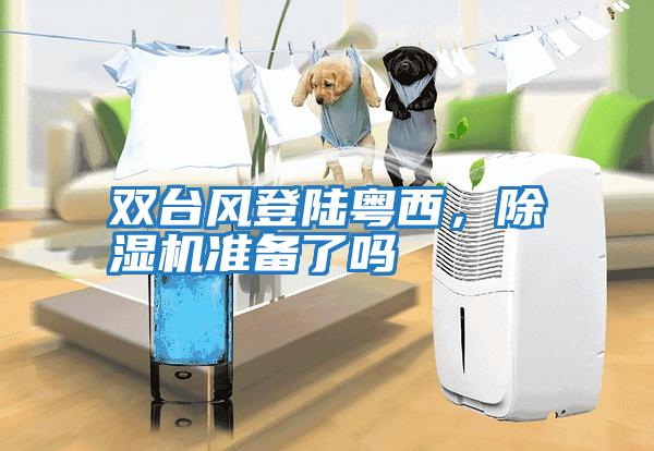 雙臺風登陸粵西，除濕機準備了嗎