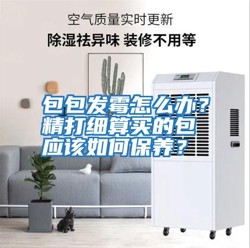 包包發霉怎么辦？精打細算買的包應該如何保養？