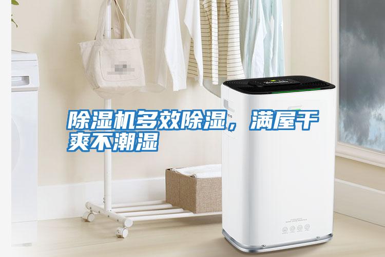 除濕機(jī)多效除濕，滿屋干爽不潮濕