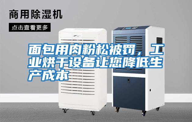 面包用肉粉松被罰,工業烘干設備讓您降低生產成本