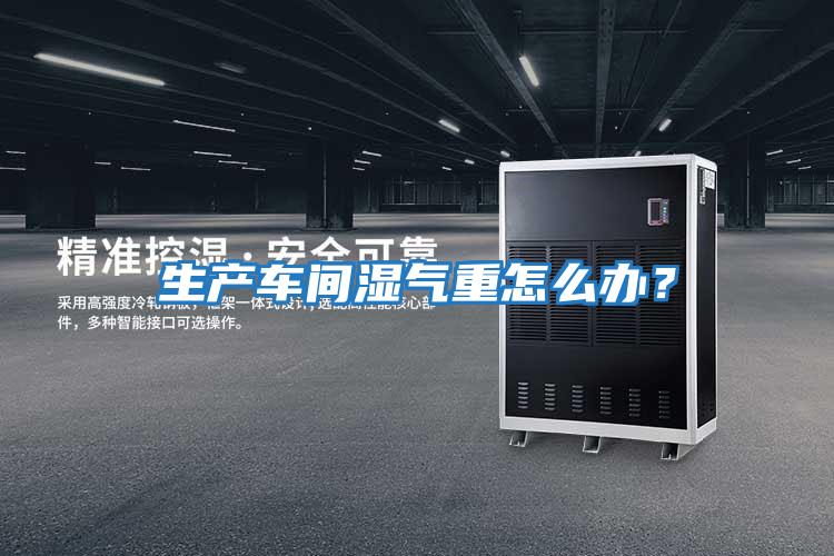 生產(chǎn)車(chē)間濕氣重怎么辦？