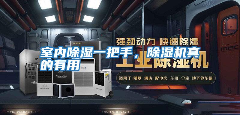 室內除濕一把手，除濕機真的有用