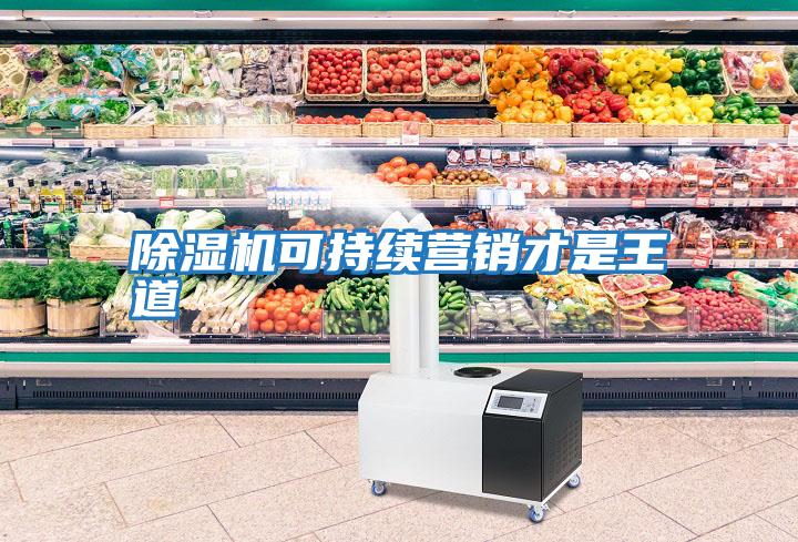 除濕機可持續營銷才是王道