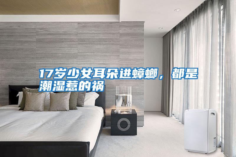 17歲少女耳朵進蟑螂，都是潮濕惹的禍