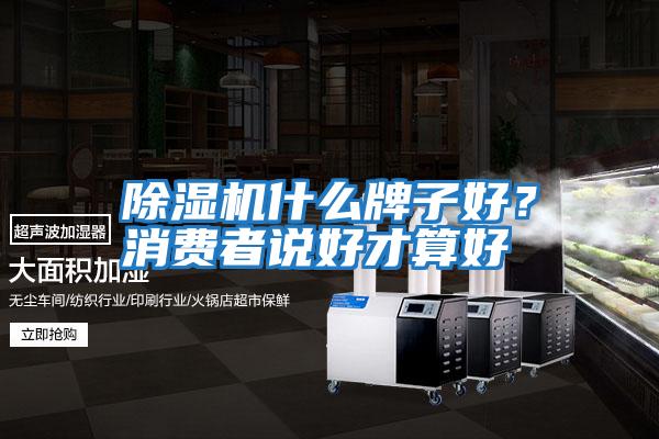 除濕機什么牌子好？消費者說好才算好