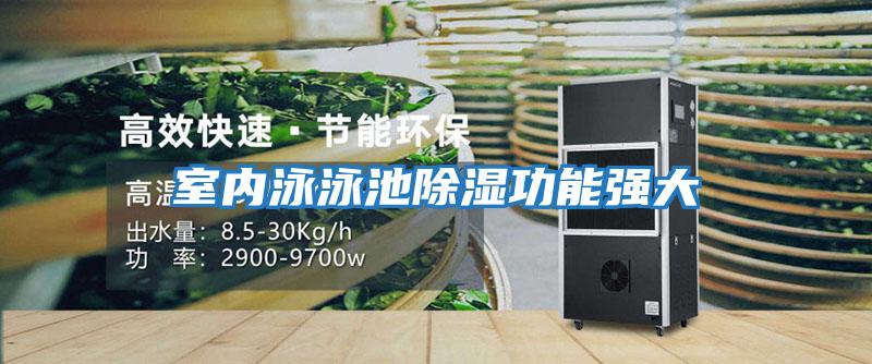 室內泳泳池除濕功能強大