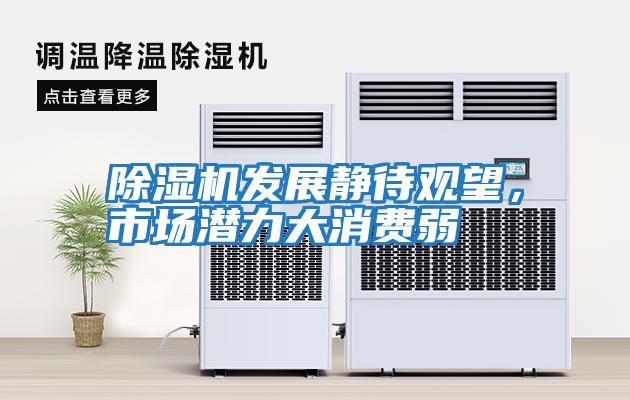 除濕機發展靜待觀望，市場潛力大消費弱