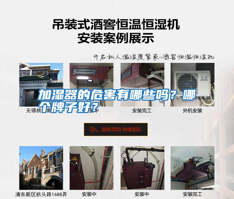 加濕器的危害有哪些嗎？哪個牌子好？