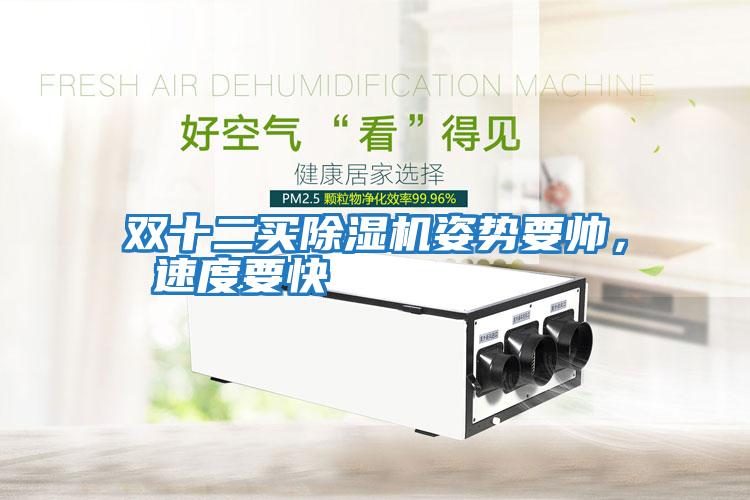 雙十二買除濕機姿勢要帥， 速度要快