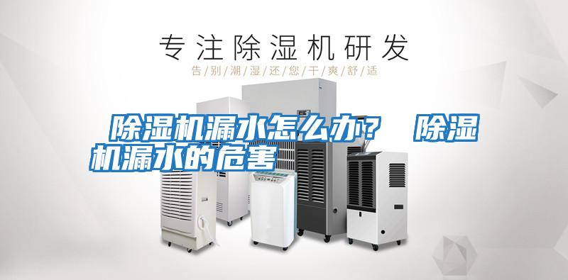 除濕機(jī)漏水怎么辦? 除濕機(jī)漏水的危害