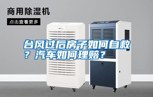 臺風過后房子如何自救？汽車如何理賠？