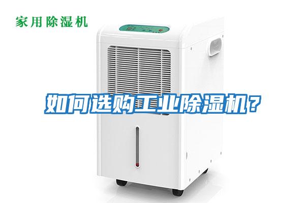 如何選購工業除濕機？