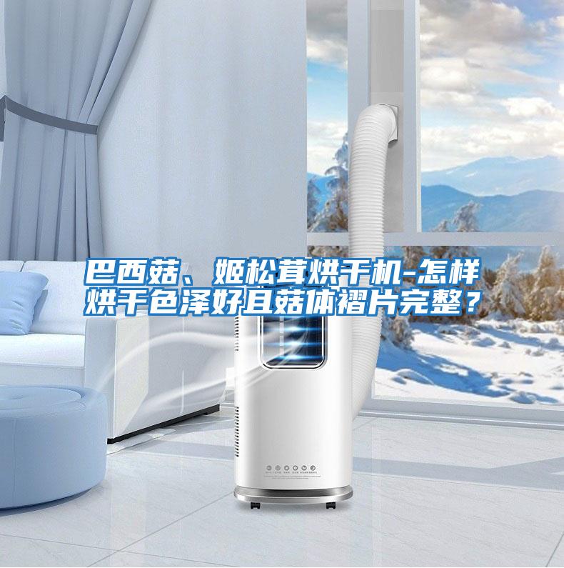 巴西菇、姬松茸烘干機-怎樣烘干色澤好且菇體褶片完整？