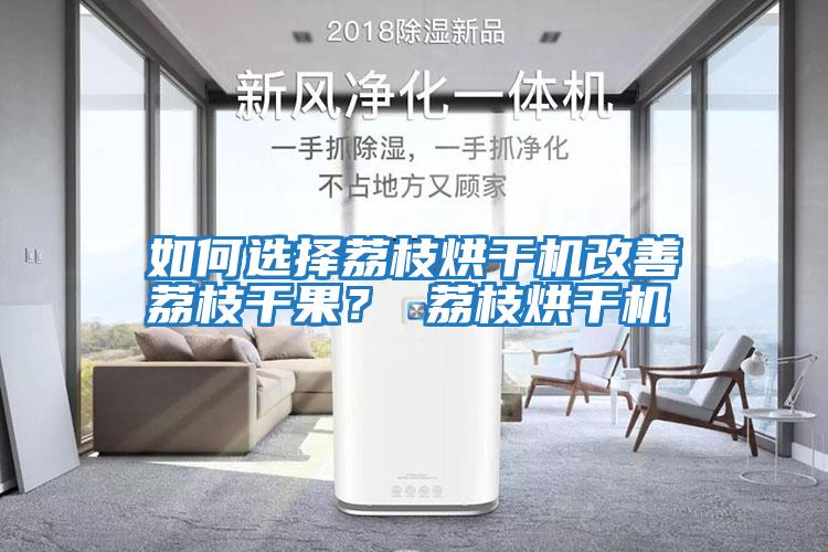 如何選擇荔枝烘干機改善荔枝干果？ 荔枝烘干機