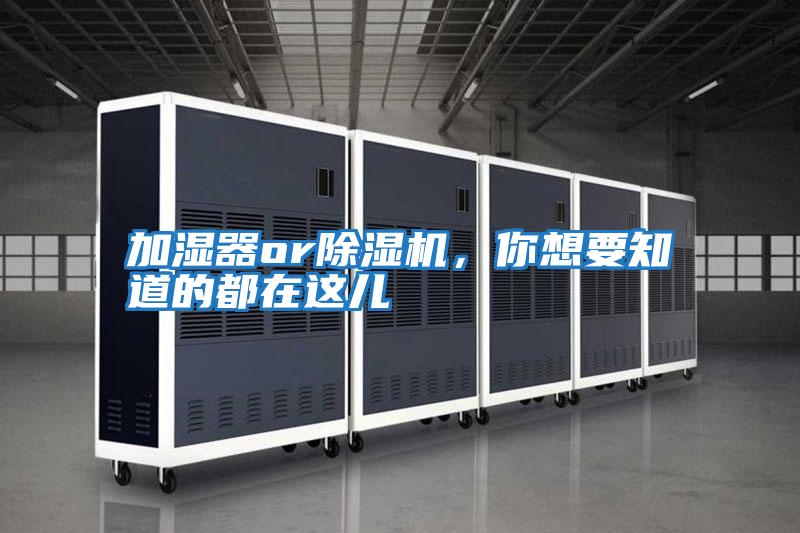 加濕器or除濕機，你想要知道的都在這兒