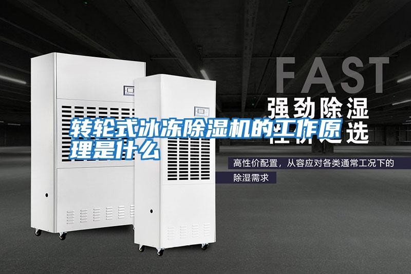轉輪式冰凍除濕機的工作原理是什么