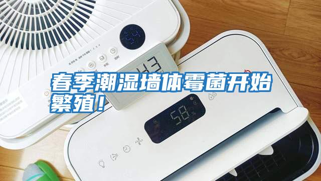 春季潮濕墻體霉菌開始繁殖！
