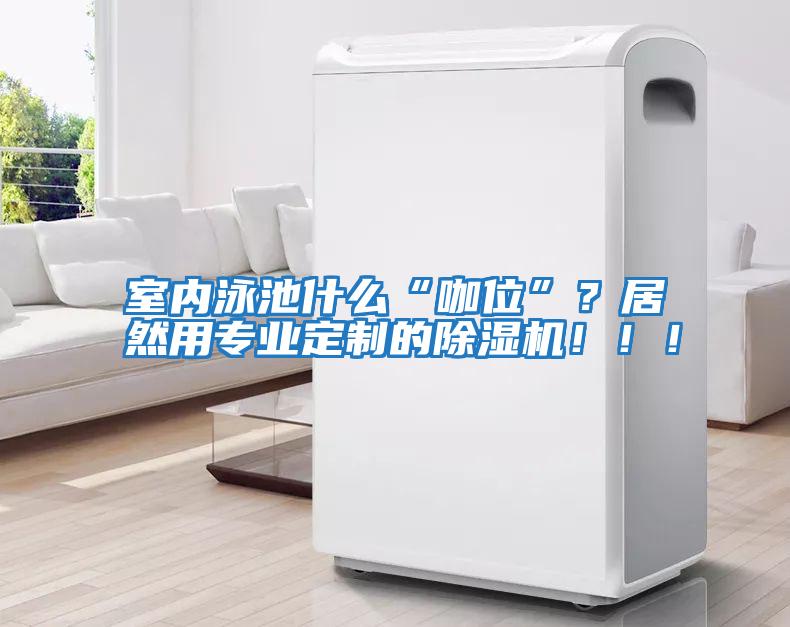 室內(nèi)泳池什么“咖位”？居然用專業(yè)定制的除濕機(jī)?。。?/></p>
						    <p style=