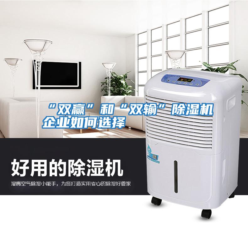 “雙贏”和“雙輸”除濕機企業如何選擇