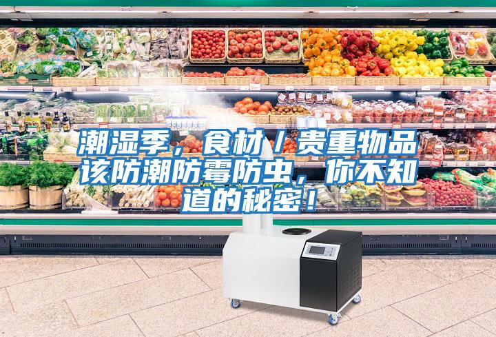 潮濕季，食材／貴重物品該防潮防霉防蟲，你不知道的秘密！