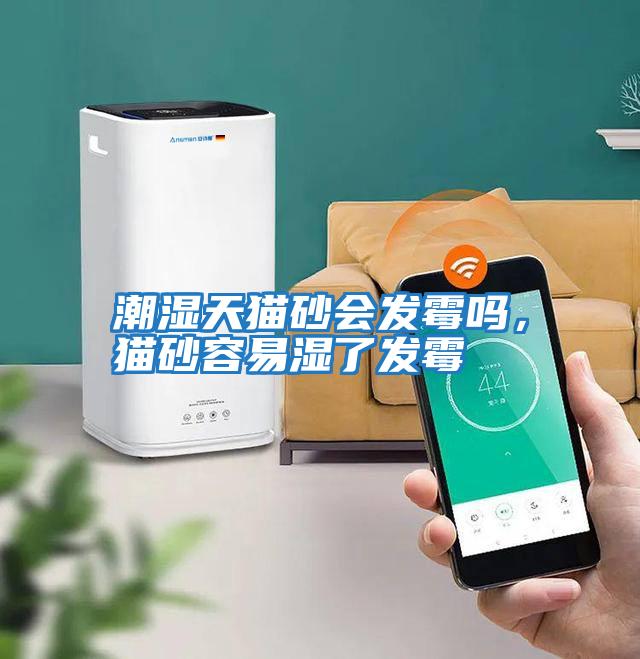 潮濕天貓砂會發霉嗎，貓砂容易濕了發霉