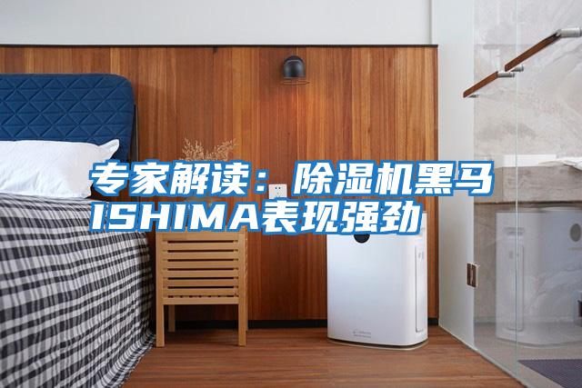 專家解讀:除濕機黑馬ISHIMA表現強勁
